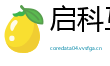 启科互联数字有限公司